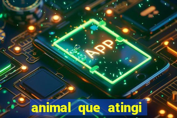 animal que atingi 230 decibeis